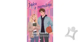 Aspekty románu