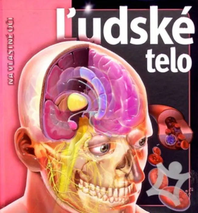 Ľudské telo