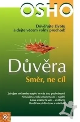 Důvěra  Směr, ne cíl