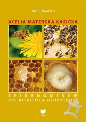 Včelia materská kašička