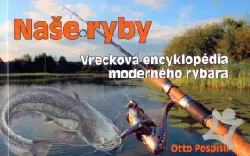 Naše Vajnory